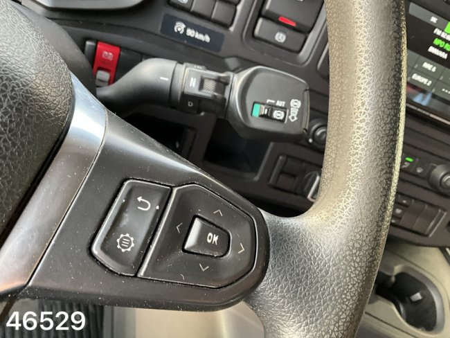 Scania  P 280 Euro 6 Palfinger 12 Tonmeter laadkraan (14)